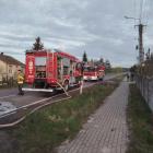 Fotka nr 2 z 4