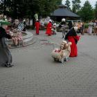 zdjęcie nr 143