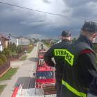 zdjęcie nr 11