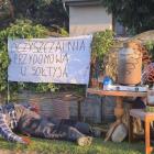 Fotka nr 0 z 23