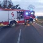 Fotka nr 3 z 4
