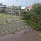 zdjęcie nr 14