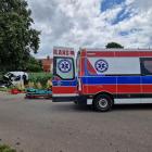Fotka nr 1 z 11