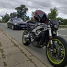 Fotka nr 2 z 4
