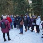 zdjęcie nr 24