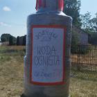 zdjęcie nr 12