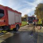 Fotka nr 2 z 5
