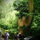 zdjęcie nr 343