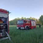 Fotka nr 1 z 17