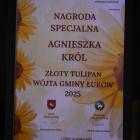 zdjęcie nr 201