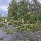 zdjęcie nr 13