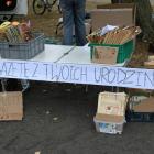 zdjęcie nr 35