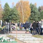 zdjęcie nr 59