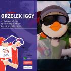 Fotka nr 3 z 17
