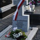 zdjęcie nr 42