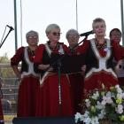 zdjęcie nr 165