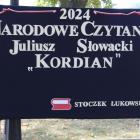 zdjęcie nr 16