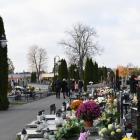 zdjęcie nr 53
