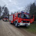 Fotka nr 5 z 8