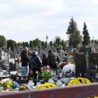 zdjęcie nr 60