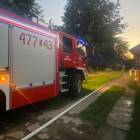 Fotka nr 4 z 12