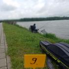 zdjęcie nr 22