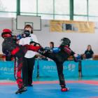 Fotka nr 3 z 11