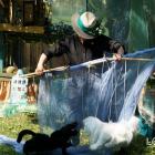 zdjęcie nr 21