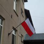 zdjęcie nr 8