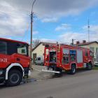 Fotka nr 5 z 6