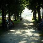 zdjęcie nr 31