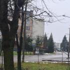 Fotka nr 4 z 5