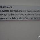 zdjęcie nr 67