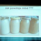 zdjęcie nr 26