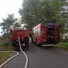 Fotka nr 1 z 2
