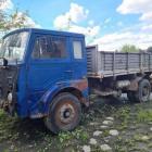 Fotka nr 5 z 7