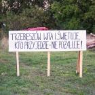 Fotka nr 5 z 9