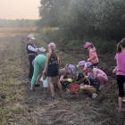 zdjęcie nr 14