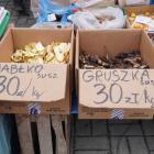 zdjęcie nr 34