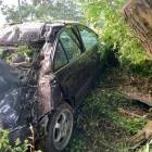 Fotka nr 1 z 2