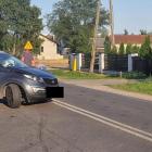 Fotka nr 2 z 6