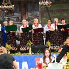 zdjęcie nr 130
