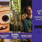 zdjęcie nr 14
