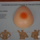 zdjęcie nr 96