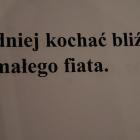 zdjęcie nr 219