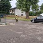 Fotka nr 1 z 9