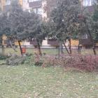 zdjęcie nr 10