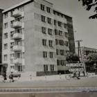 zdjęcie nr 36