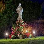 zdjęcie nr 38