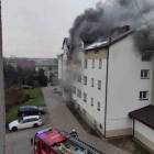 Fotka nr 5 z 7